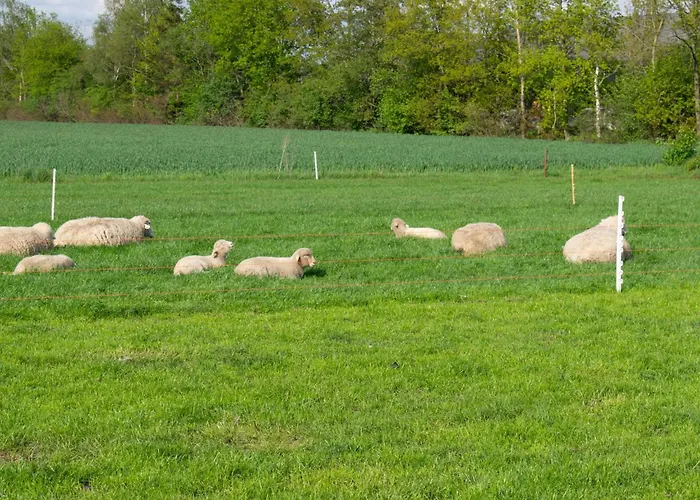 Vakantiehuis Weidezicht *