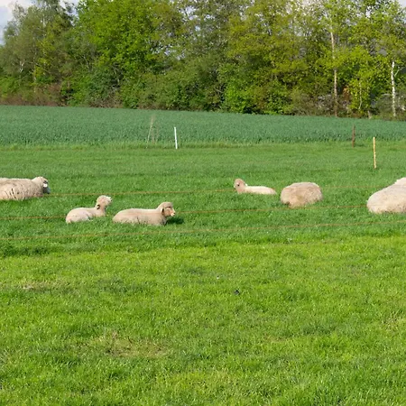 Дом отдыха Weidezicht *